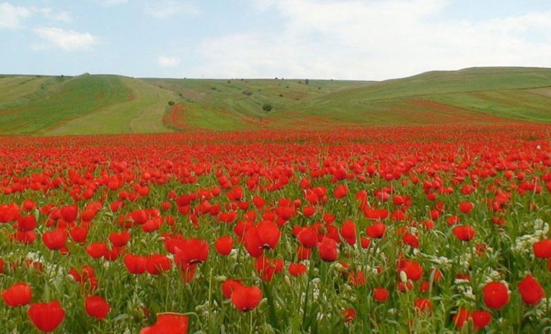 تصویر از جاذبه‌های گردشگری جاده شیراز به کازرون